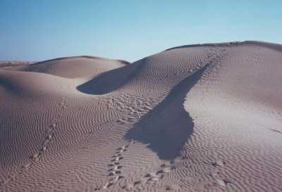 dunes de Sam